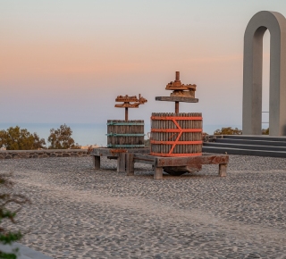 Wine Tour