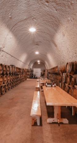 Santorini Winery