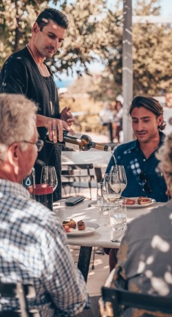 Wine tasting