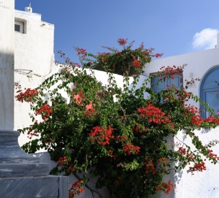 santorini-megalochori-01