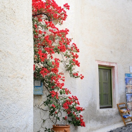 santorini-pyrgos-14