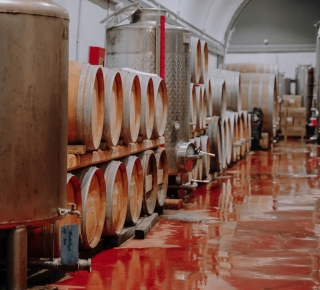 Santorini Winery